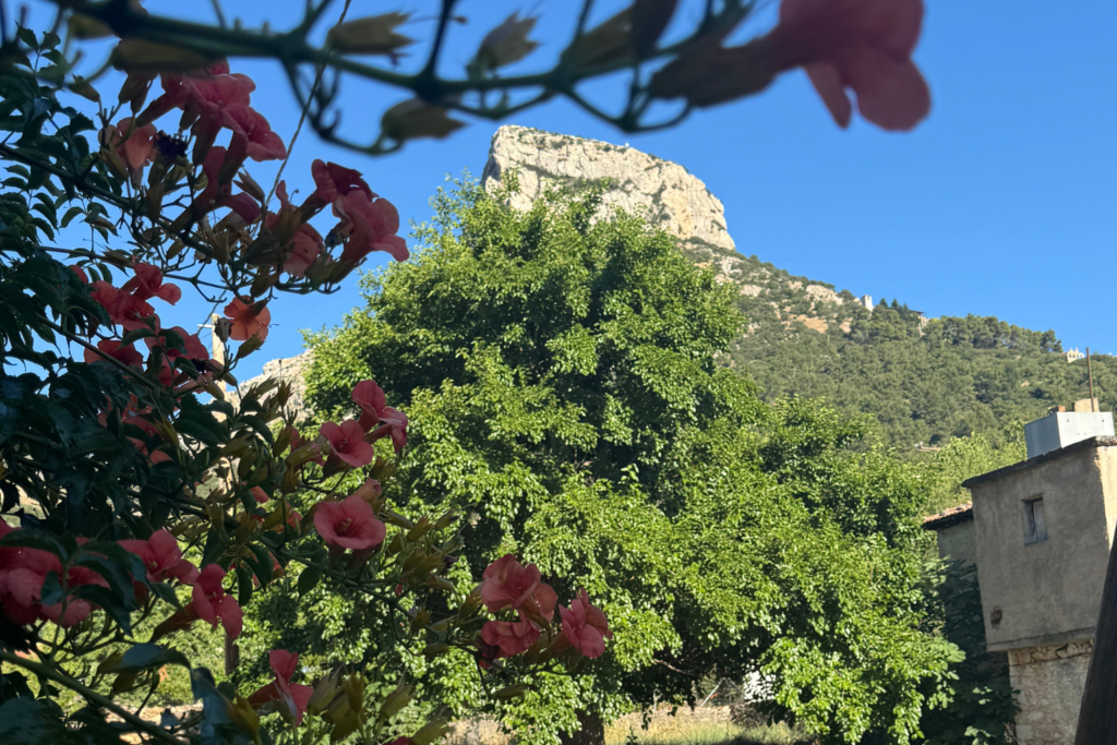 Nestani Goulas Scenic