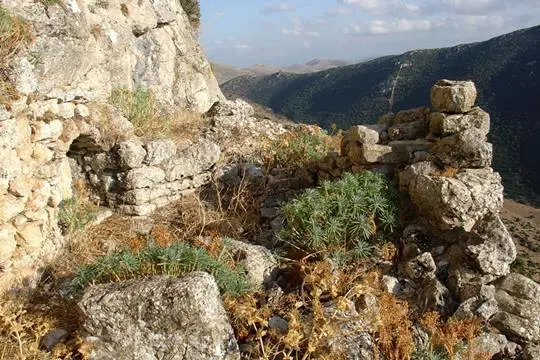nestani2 (1)